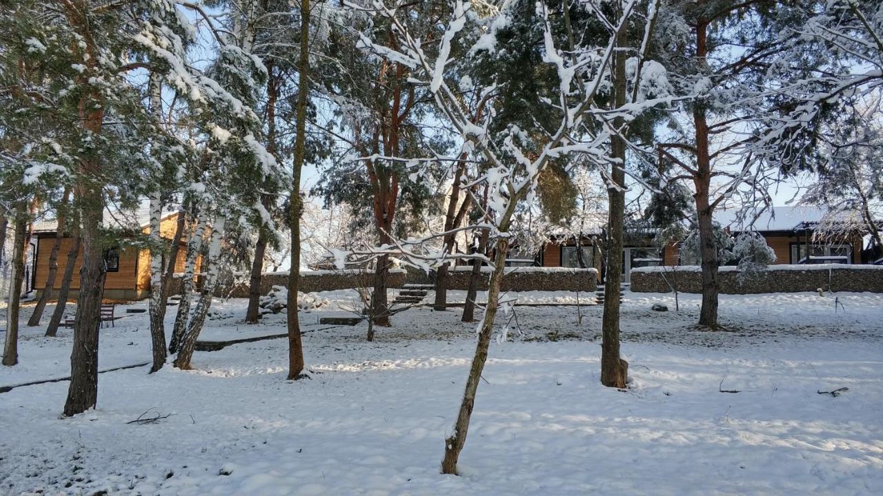 Zhvanets Воллен מראה חיצוני תמונה